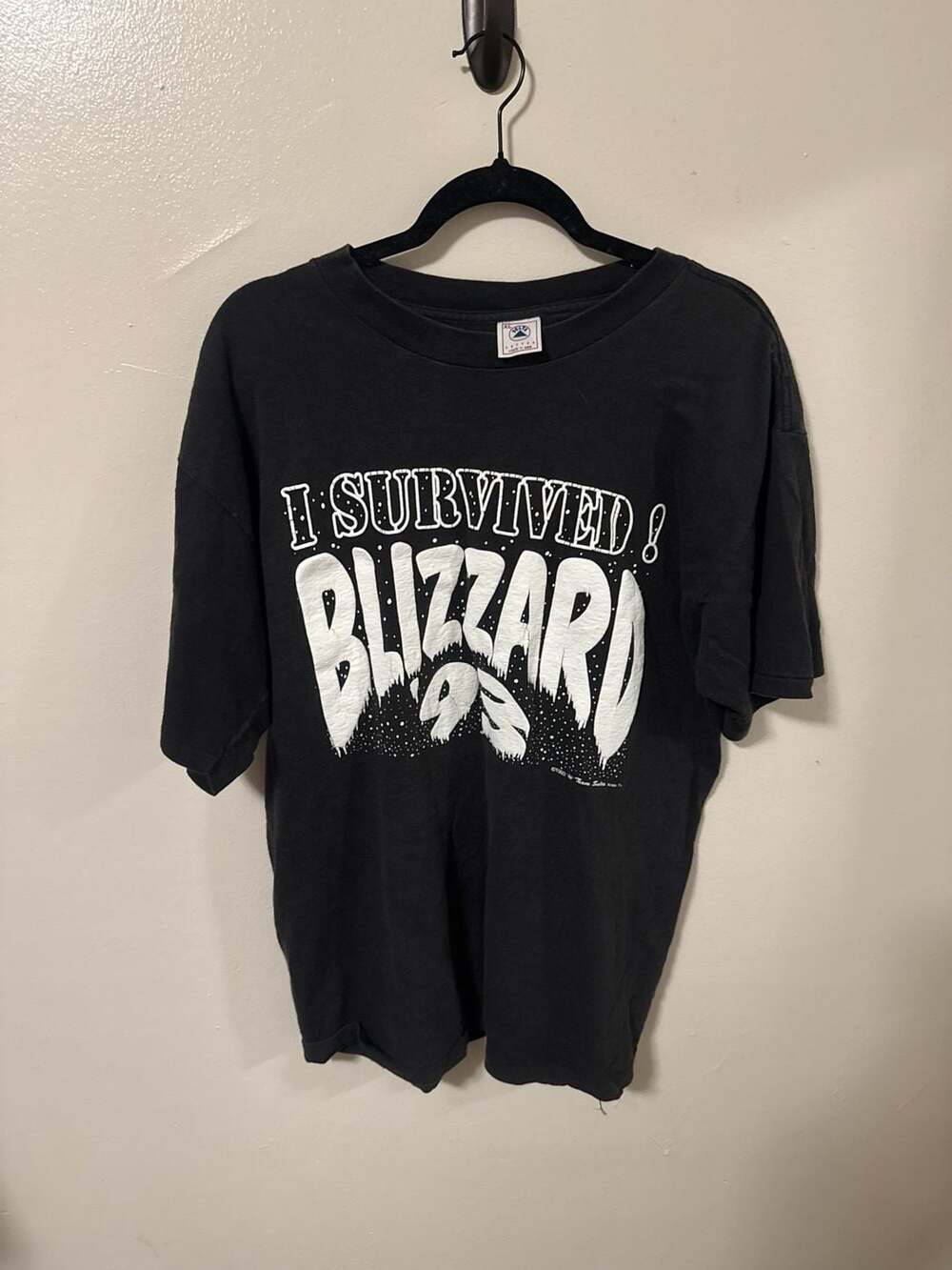 Vintage 1993 Delta I Survived Blizzard '93 T-Shirt Size XL